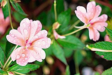 《红霞岛》更多细节：开放世界比《掠食》更大